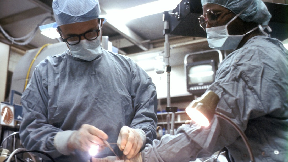 Especialista médico realizando análise clínica e acompanhamento de saúde com segurança e precisão